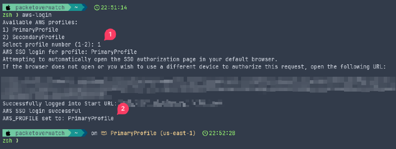 AWS CLI Login Function Screenshot